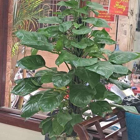 Hanvet Boutique Hotel ハノイ市 エクステリア 写真